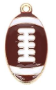 School and Team Pride Custom Earrings