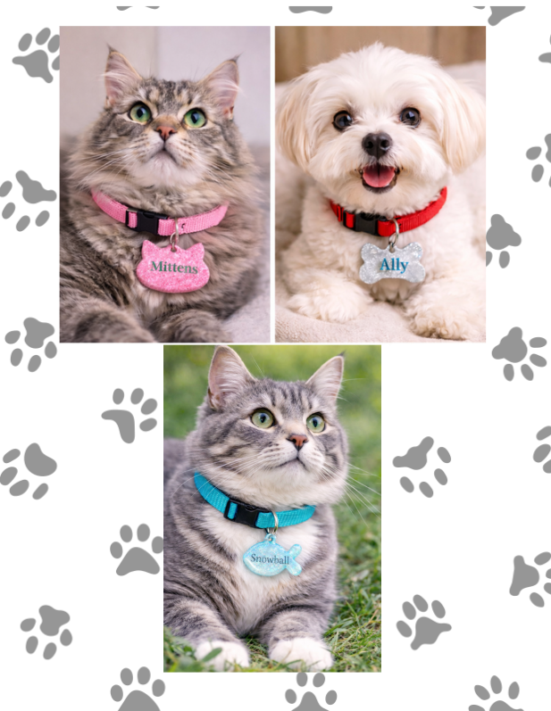 Custom Pet ID Tag