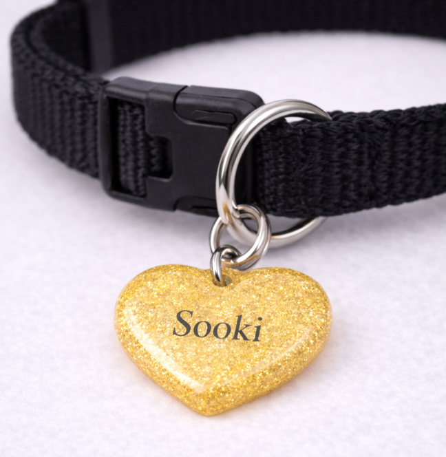 Custom Pet ID Tag