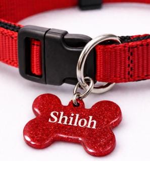Custom Pet ID Tag